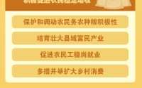 新华社权威速览丨中央一号文件划重点，2026年“三农”工作这么干
