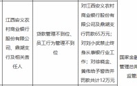 江西安义农村商业银行及鼎湖支行被罚65万元：贷款管理不到位、员工行为管理不到位