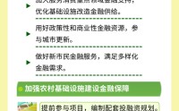 一图读懂《关于统筹建立常态化金融支持机制 助力防止返贫致贫和乡村全面振兴的意见》