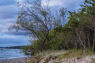 泰州优力信新能源科技有限公司成立 注册资本100万人民币