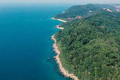 今日视点：锚定未来产业 做好“产业出题、科技答题”大文章