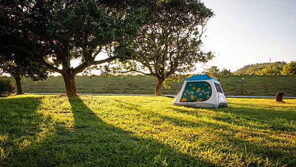 大事小情习惯“问问AI”？警惕AI的“种草式”推荐