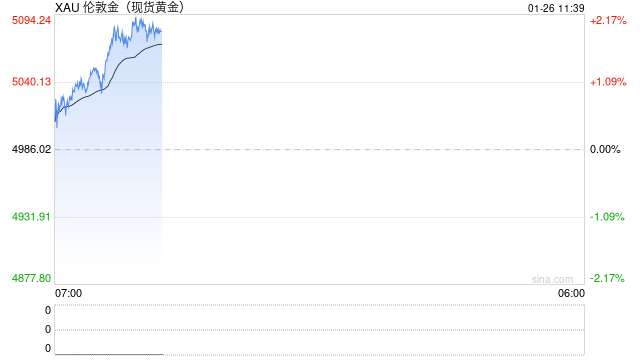 黄金五个月狂飙50%背后：不是央行，是散户制造的完美泡沫？