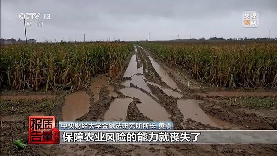 每周质量报告丨未定损就签字、没受灾也赔付 惠农保险理赔怎成一笔“糊涂账”？