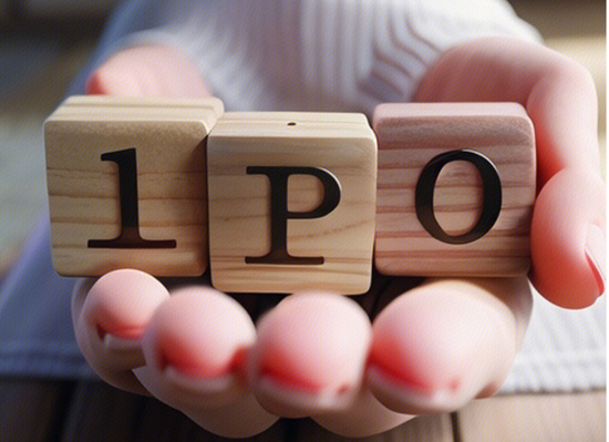 帮阿里、科沃斯出海年入608亿毛利率仅2.5％，“北大学霸”携蓝色光标IPO