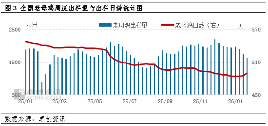 “蛋”说无妨:蛋价回暖扰动去产能节奏,蛋鸡行业格局再添变数