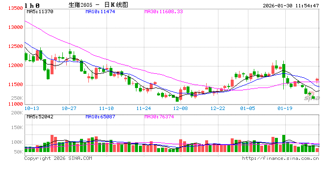 高瞻远“猪”：一致性预期存在 2026年上半年仔猪价格或涨