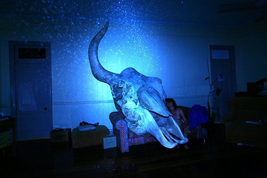 摄影师志贺理江子摘得首届梅原猛人类哲学奖