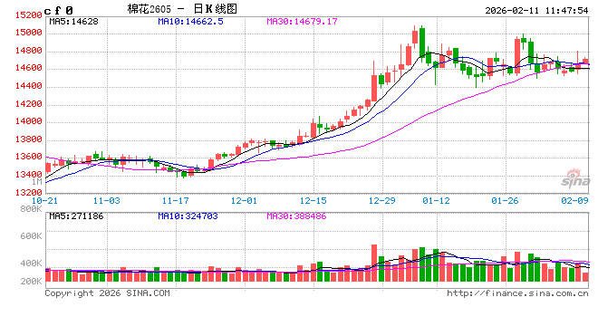 2025年中国进口棉花数量创近五年最低