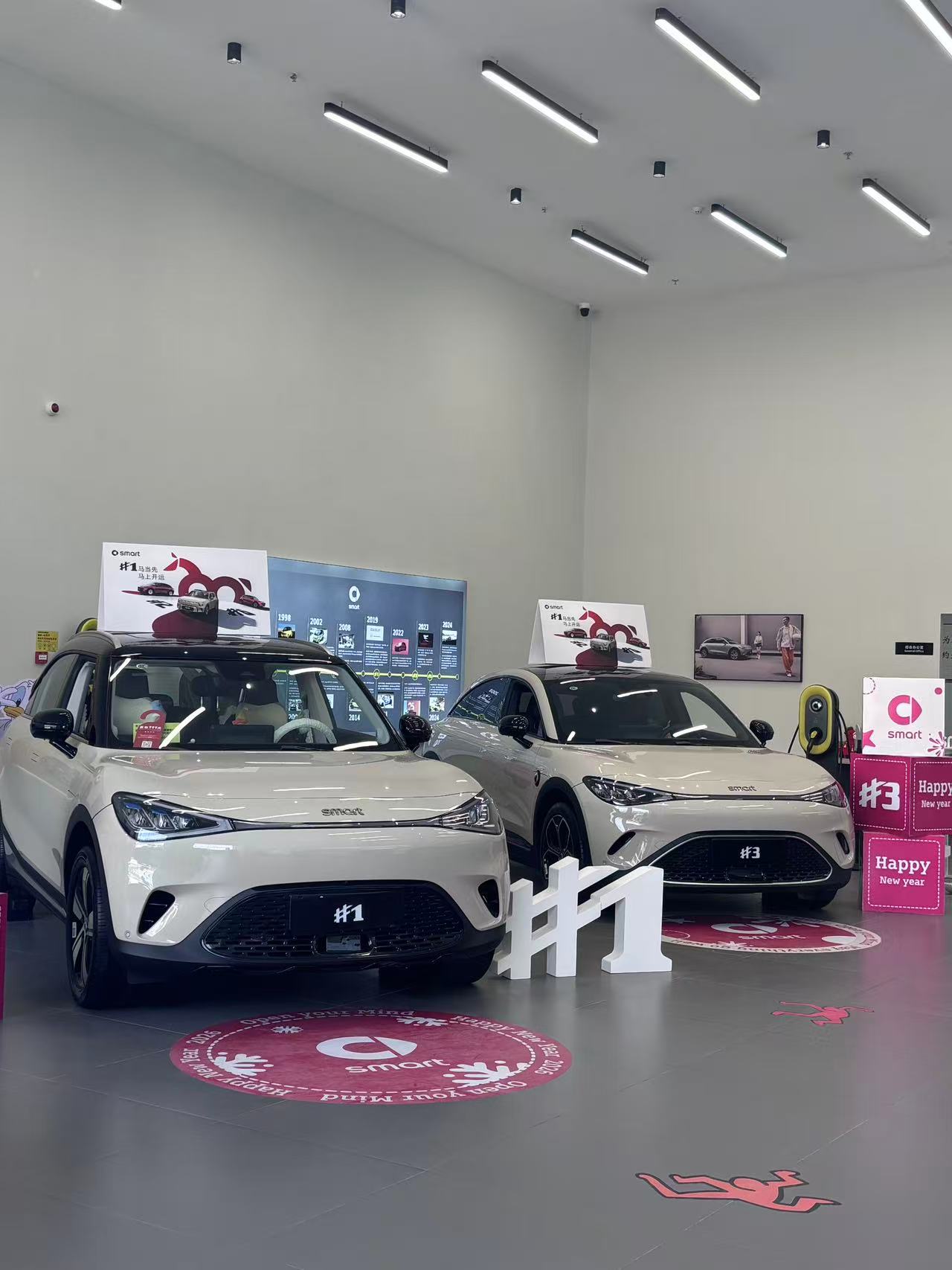 Smart开年遇冷，1000辆限量车至今未能售罄