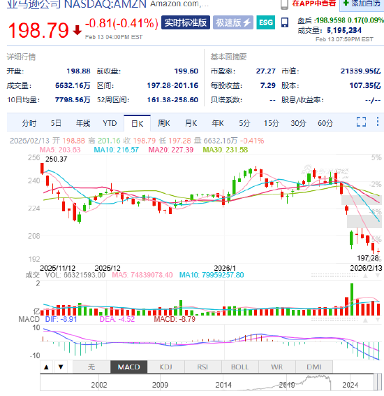 10万亿美国科技巨头跌入熊市