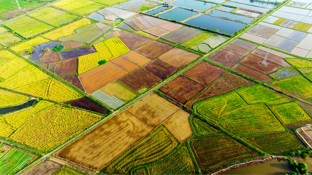 “新春第一会”，江西为何聚焦“三农”