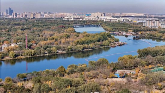 何为正确政绩观?新华社推出重磅通讯