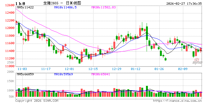 2026猪价“开局遇冷” 供需失衡的阵痛与下半年复苏曙光