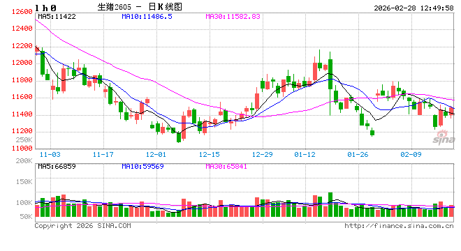 高瞻远“猪”：节后亏损再度加剧 生猪养殖何时走出困境？