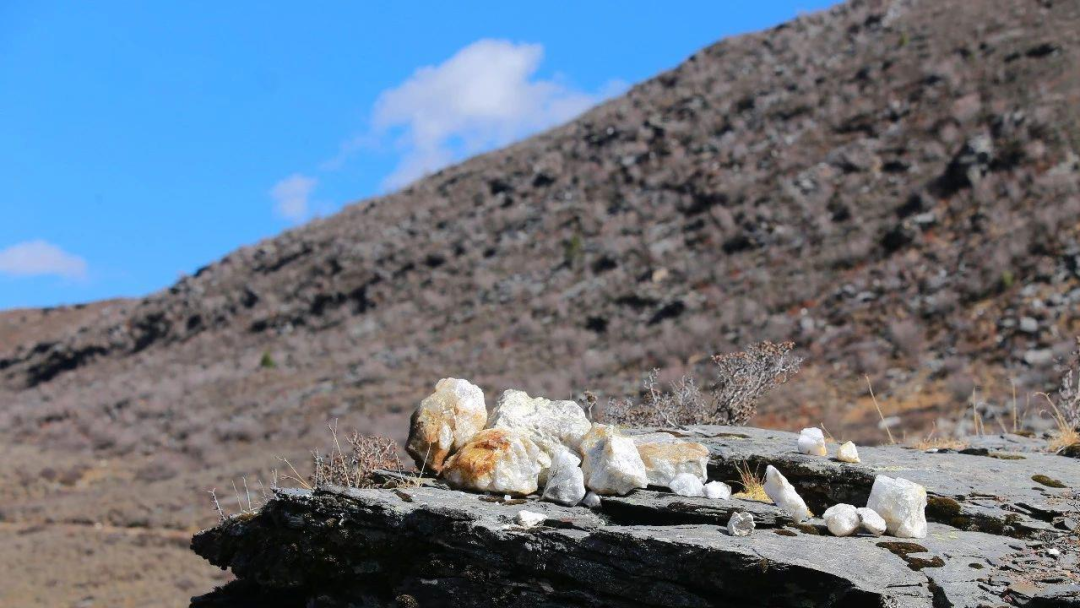 争“锂”(上篇):津巴布韦出口禁令背后,全球锂资源竞逐赛升级!