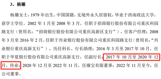 臻宝科技IPO,低价拿到大笔股权的神秘女董事,背后是什么来头?