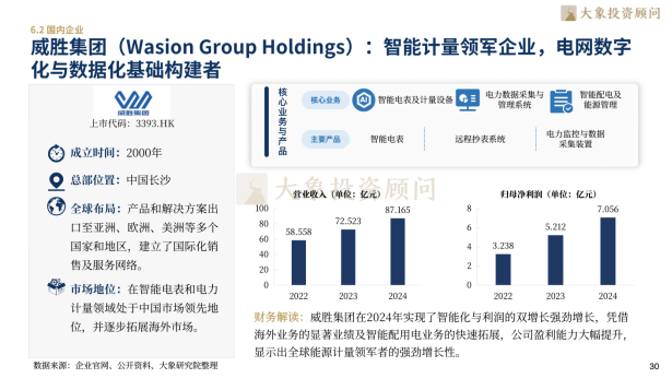 大象研究院发布《2026年智能电网行业研究报告》