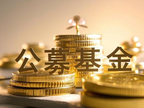 公募集体发声：彰显专业价值，让科创企业与耐心资本“双向奔赴”