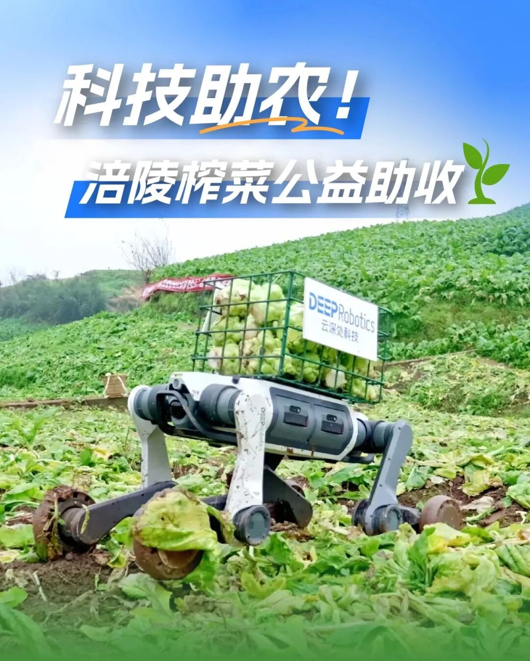 志之所向，步之所量丨华映family动态