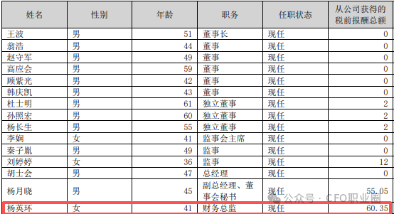 罕见!A股公司3任财务总监被各罚200万!