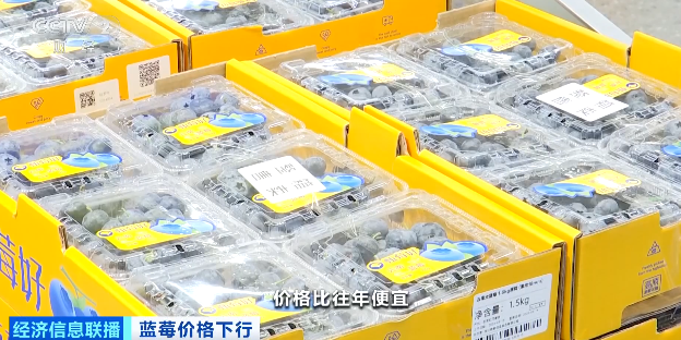 降价超30%!蓝莓价格“跳水”