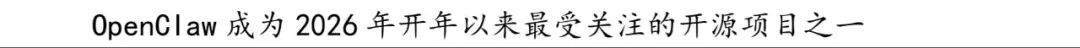 用AI“龙虾”炒股,有投资者称“取得月赚90%惊人战绩”,有人20万元却亏掉8万元!记者调查:普通人能玩吗?