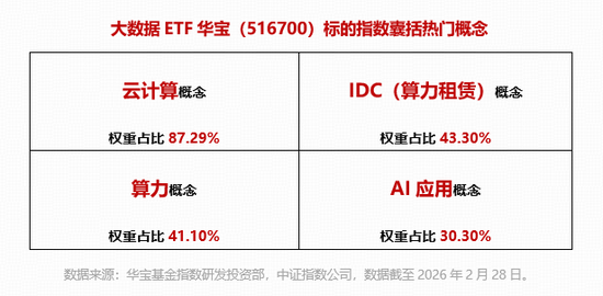 智谱API调用量飙升，算力租赁板块走高！优刻得-W领涨超8%，华宝基金大数据ETF（516700）盘中上探2.56%