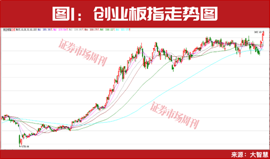 社保基金继续加仓!这一板块龙头公司再创新高!