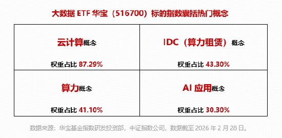 三大利好!彻底引爆算力租赁板块!华宝基金大数据ETF(516700)重点布局IDC方向!