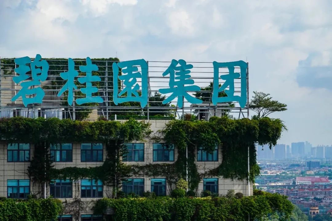 碧桂园又活过来了！建筑业的春天来了吗？
