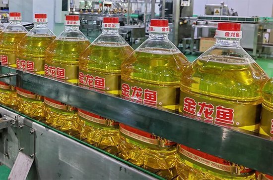 金龙鱼一工厂发生触电致死事故,官方调查报告公布