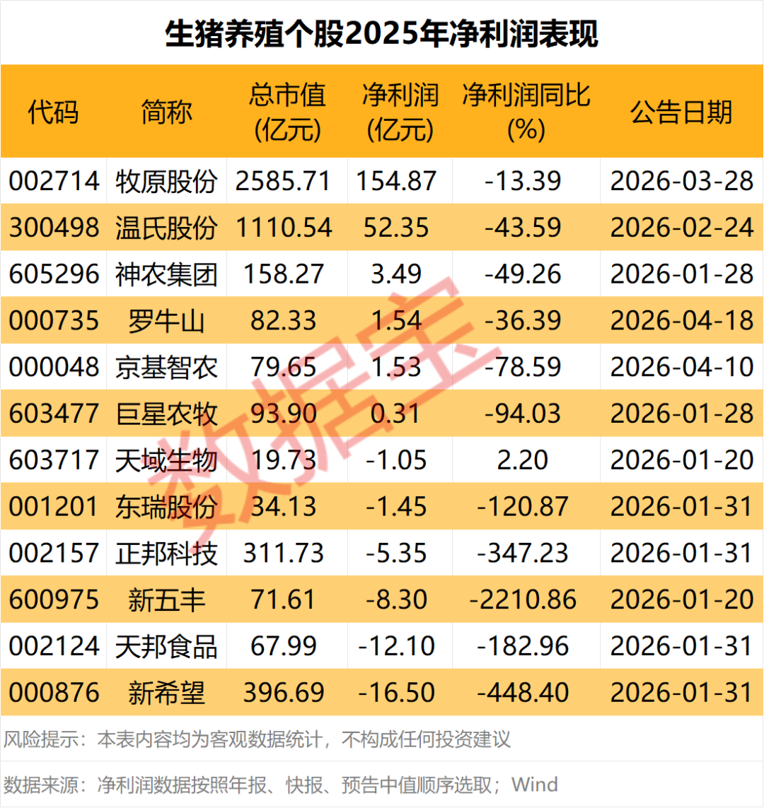全线飘红,多地价格突破10元,猪市风向变了