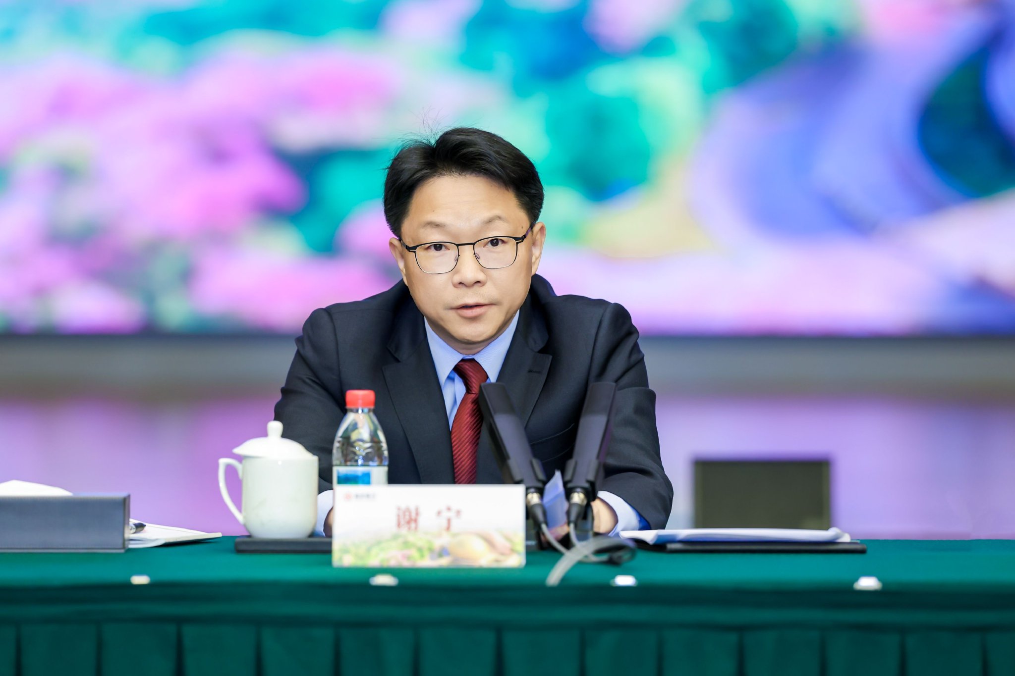 南京银行董事长谢宁:“好银行”至少应具备经营发展好等三大特征