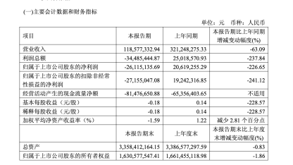 盛剑科技一季度亏损2612万元，张伟明质押700万股后，公司“半导体新故事”先撞上订单收缩 | 长三角资本局