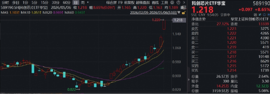 科创芯片猛攻!海光信息20CM涨停,寒武纪、佰维存储历史新高,华宝基金科创芯片ETF(589190)涨超8%