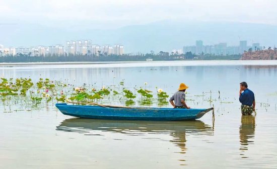在国家级湿地公园旁住了3年，我决定把全家都接过来