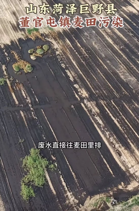 山东菏泽曝大量农田遭污染，官方回应：已成立“专班”介入调查