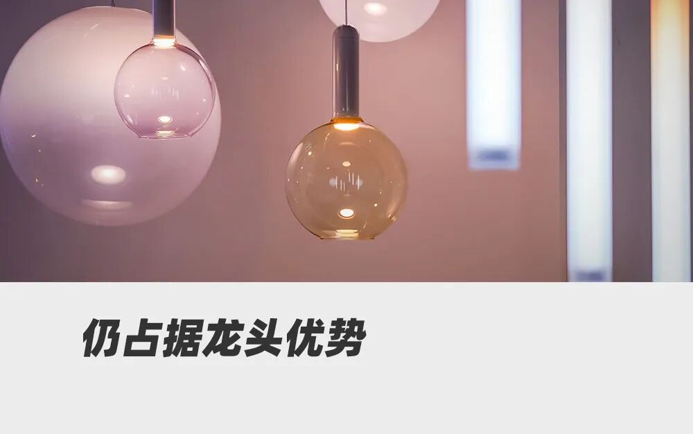 欧普照明,遭监管点名