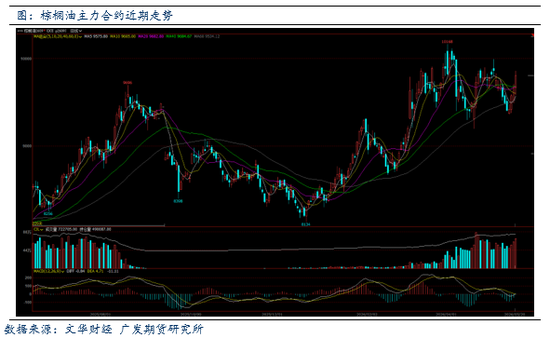 棕榈油:印尼拟筹备国有机构管控棕榈油价格,盘面应声上行